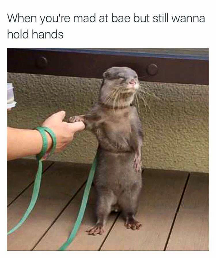 Otter Coin